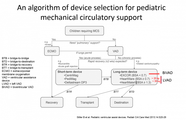 Basic Course In Pediatric Heart Failure And Heart Transplantation – Niakoro